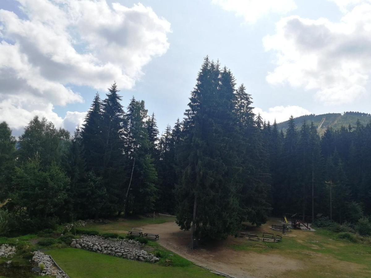 Penzion Bílá voda Harrachov Exterior foto