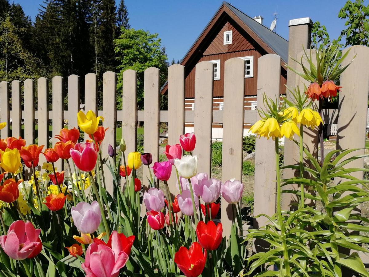 Penzion Bílá voda Harrachov Exterior foto